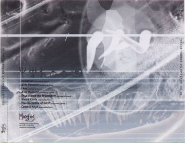 back insert